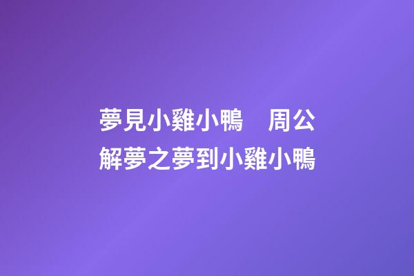 夢見小雞小鴨　周公解夢之夢到小雞小鴨